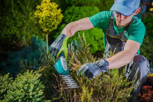 landscaping services Philmont